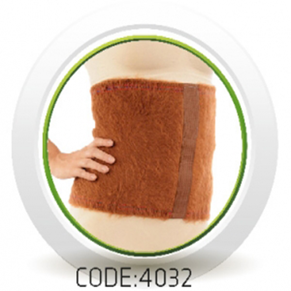 گرمکن کلیه شتری - بازار سلامت