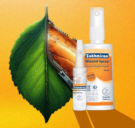 1OojpM743que9SQF9QzG8ubKVOFleDbatHxOOpCDMGk6FFItrr.jpg_800X800X70